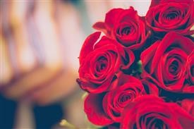 &quot;Flower Delivery River Edge Nj